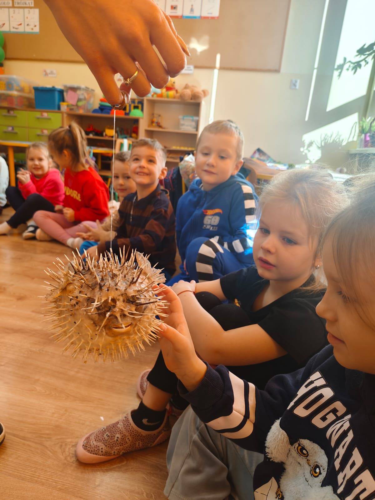 dzieci przedszkolne oglądające muszle i zwierzęta wodne