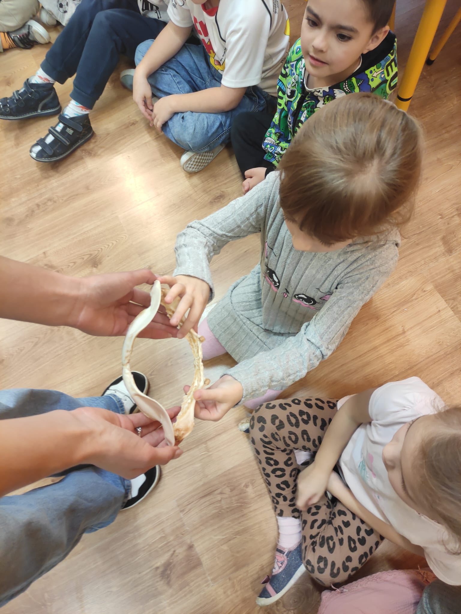 dzieci przedszkolne oglądające muszle i zwierzęta wodne