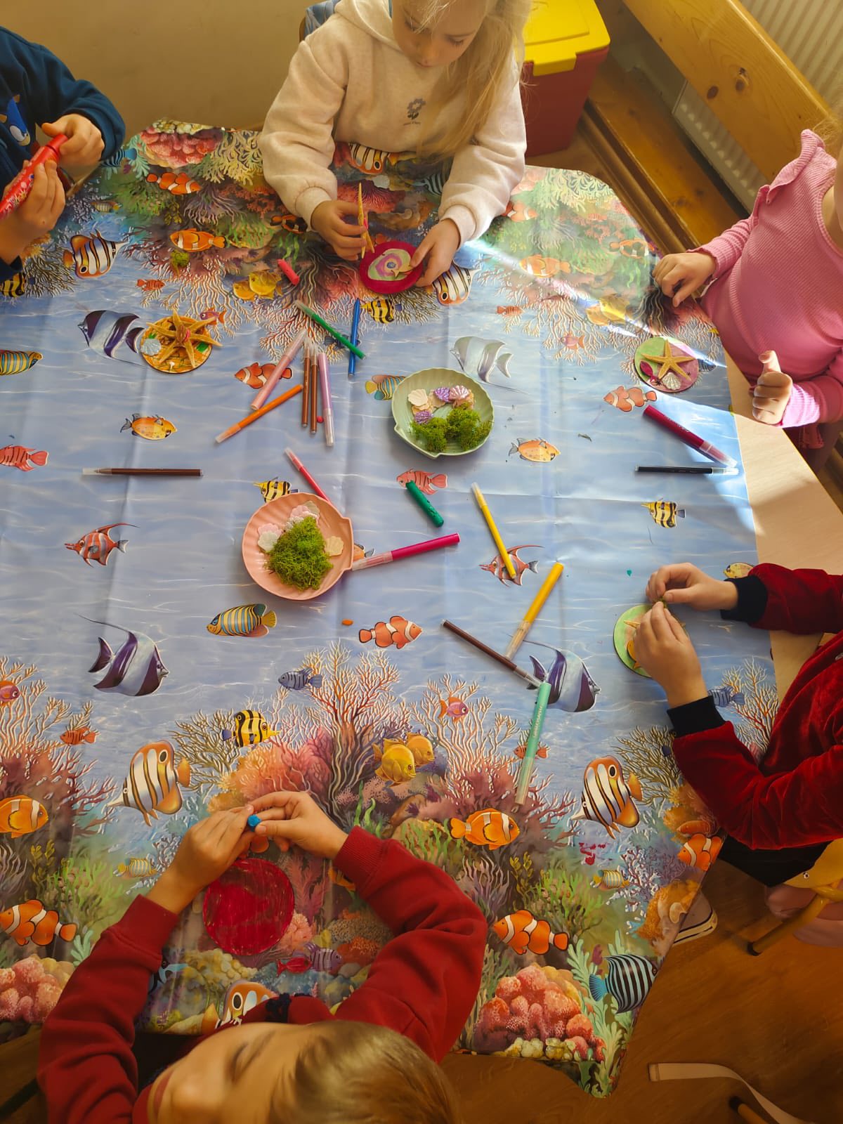dzieci przedszkolne oglądające muszle i zwierzęta wodne